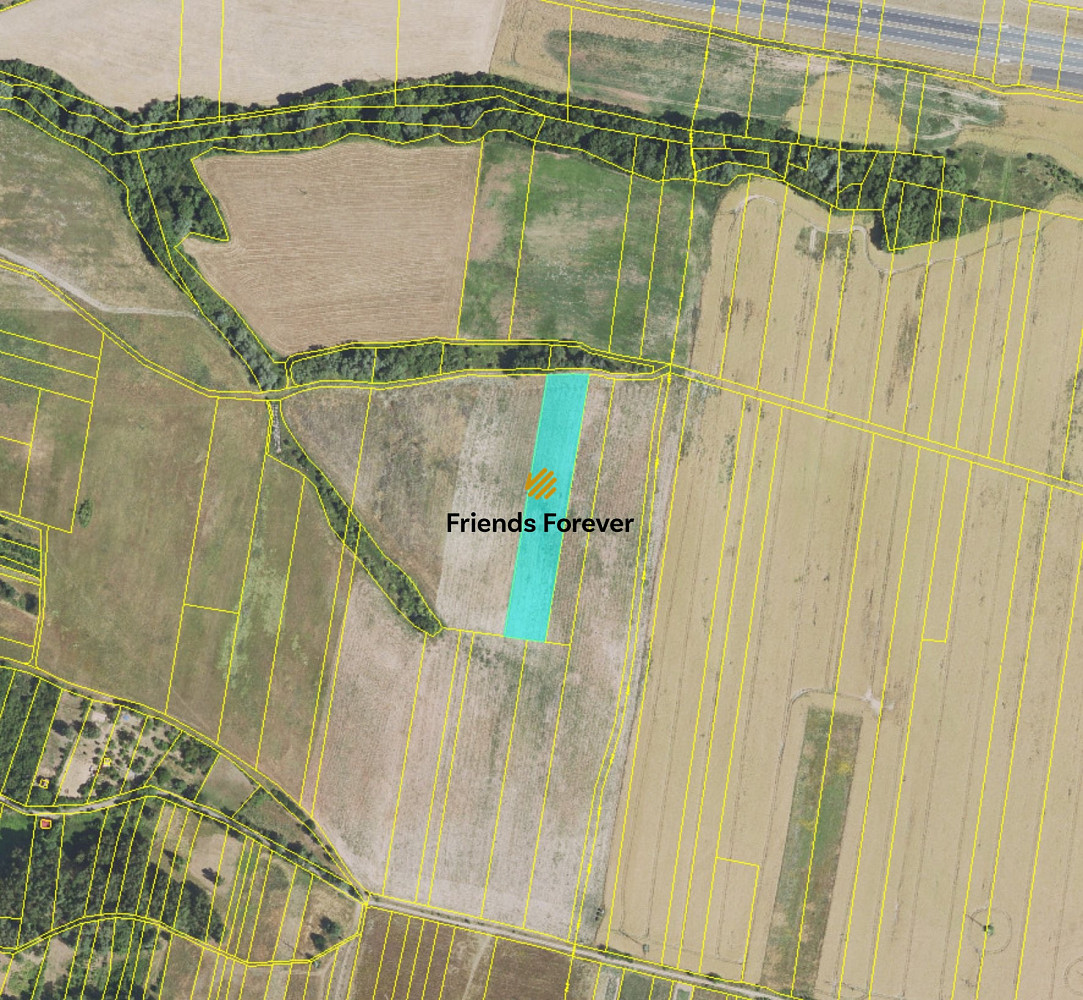 Prodej pole 7 411 m² – fotografie 2