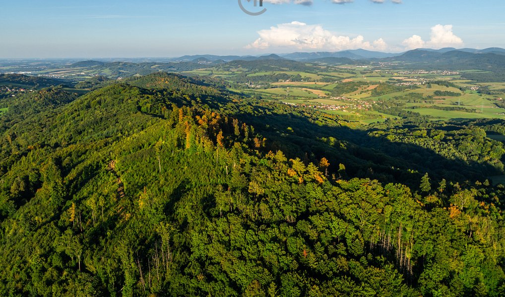 Prodej stavebního pozemku 1 920 m², Starý Jičín – náhled fotky 8