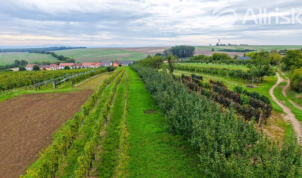 Prodej stavebního pozemku 1 865 m², Starý Poddvorov – náhled fotky 7