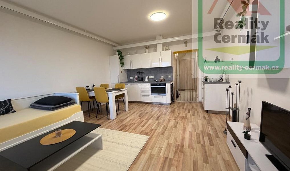 Prodej bytu 1+kk 36 m², Plzeň – náhled fotky 8