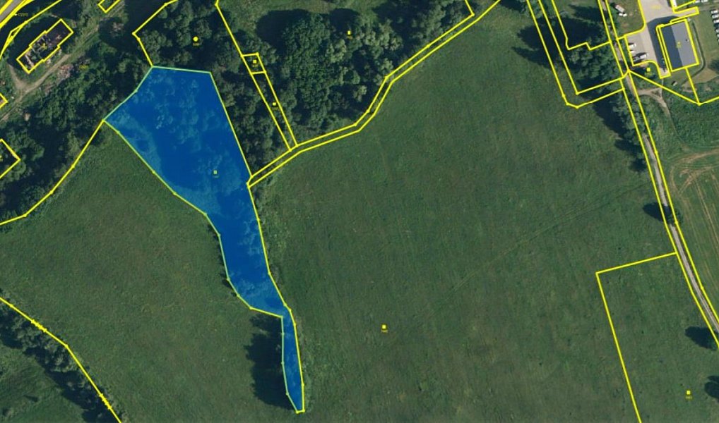 Prodej louky 8 093 m², Heřmanice – náhled fotky 2