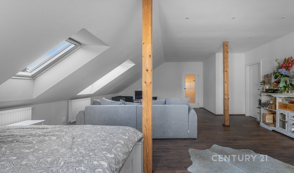Prodej domu 340 m² s pozemkem 1 893 m², Družec – náhled fotky 14