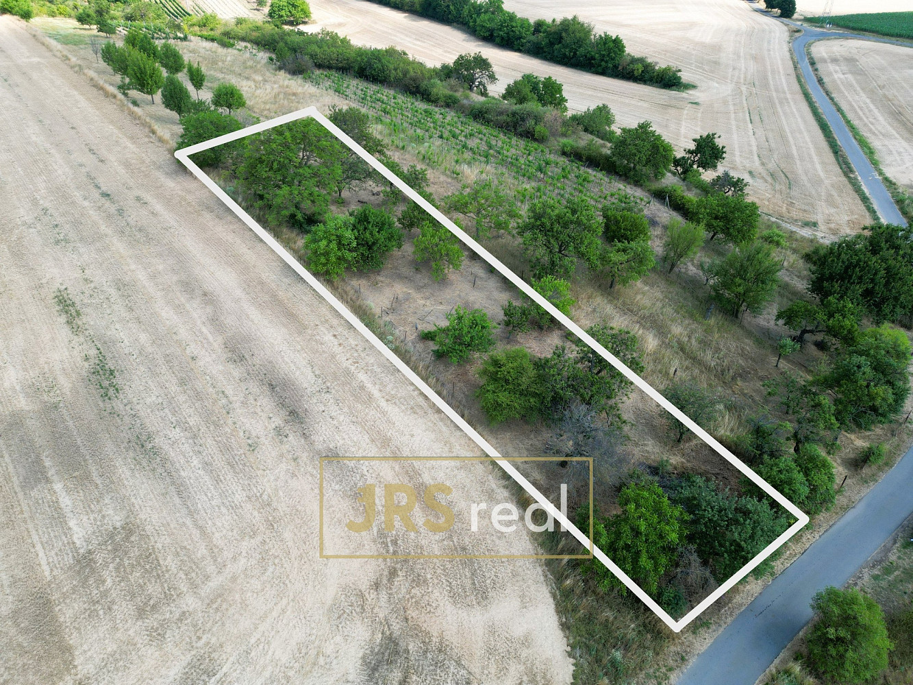Prodej pole 1 046 m² – fotografie 2