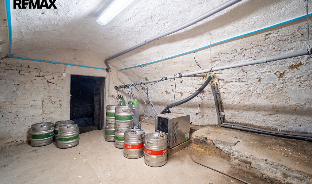 Prodej domu 500 m² s pozemkem 784 m², Svinaře – náhled fotky 22