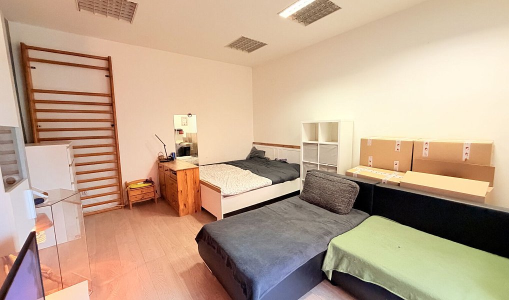 Pronájem bytu 1+kk 30 m², Ostrava – náhled fotky 3