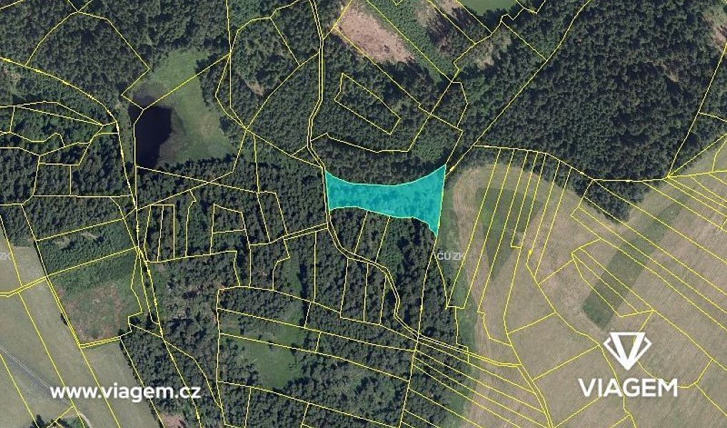 Prodej lesa 2 072 m², Studnice – náhled fotky 3