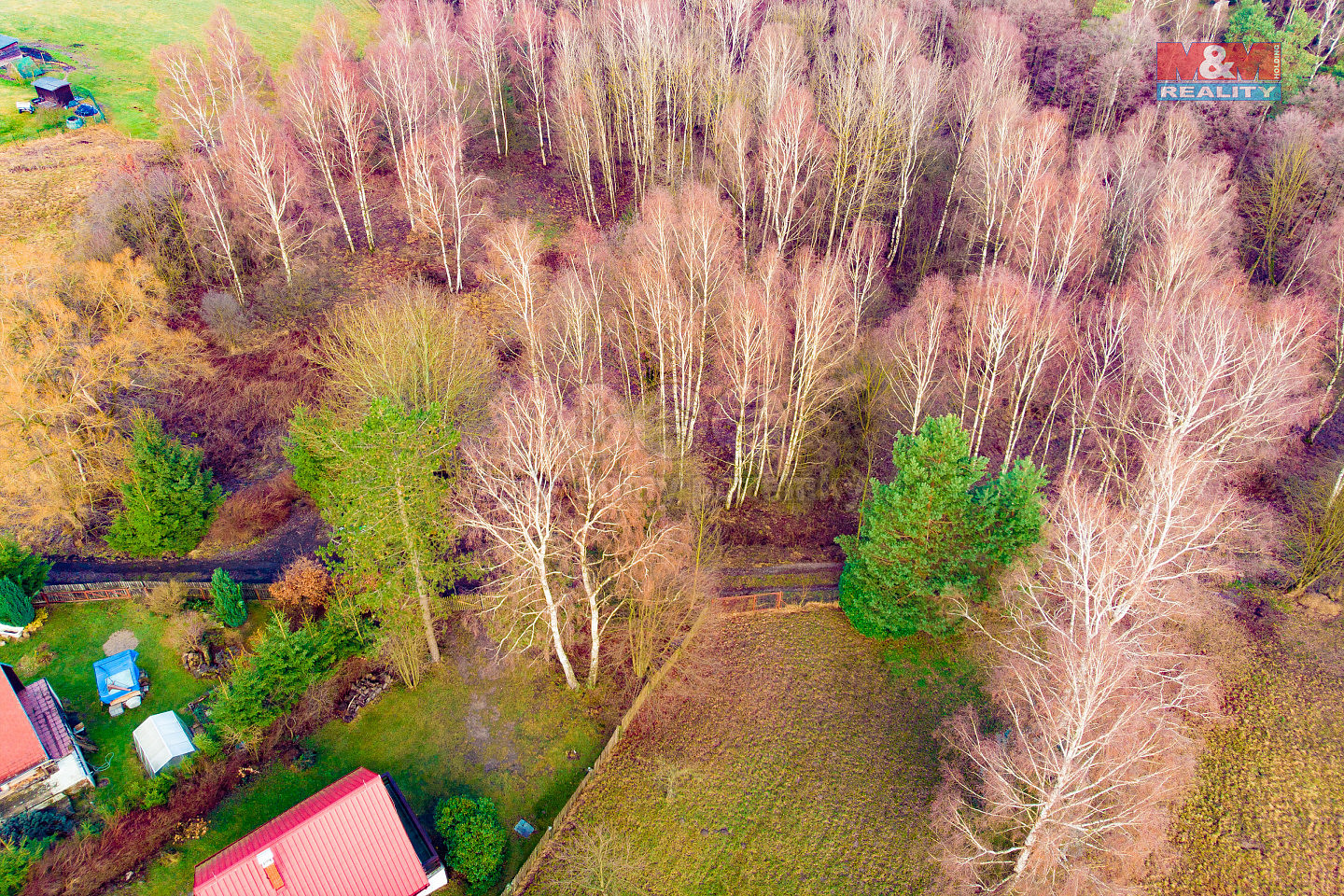 Prodej louky 6 306 m² – fotografie 4
