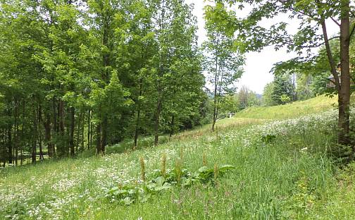 Prodej pozemku 1 153 m², Říčky v Orlických horách, okres Rychnov nad Kněžnou