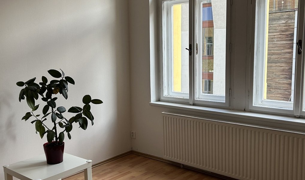Pronájem bytu 2+kk 56 m², Praha – náhled fotky 4