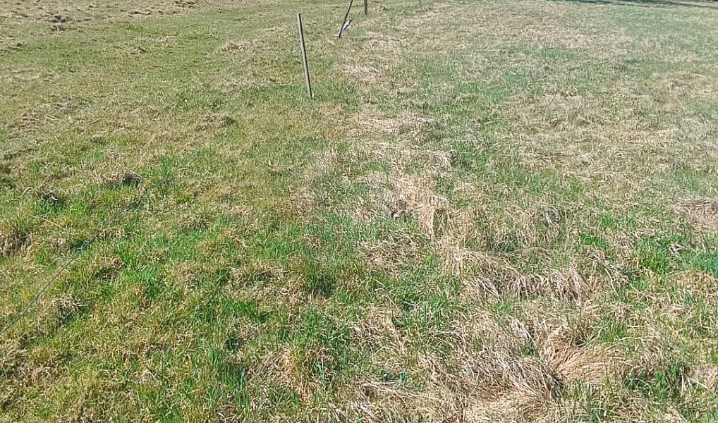 Prodej stavebního pozemku 4 280 m², Heřmanov – náhled fotky 5