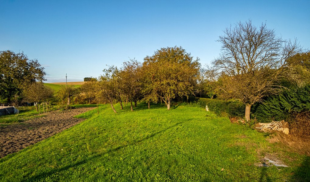 Prodej stavebního pozemku 768 m², Pitín – náhled fotky 7
