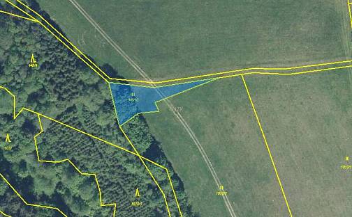 Prodej zahrady 2 703 m², Bačetín, okres Rychnov nad Kněžnou