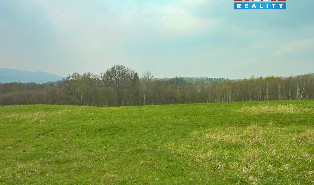 Prodej louky 55 278 m², Stružnice – náhled fotky 7