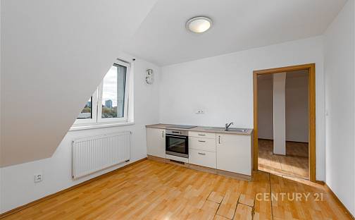 Pronájem bytu 2+kk 43 m², Borská, Plzeň - Jižní Předměstí