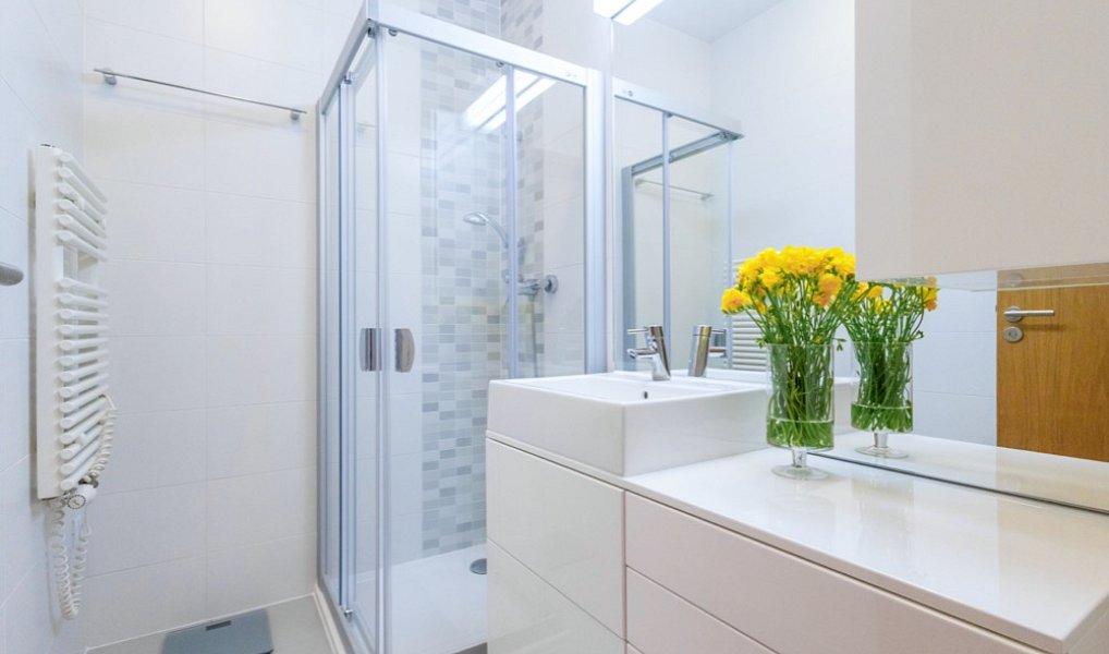 Pronájem bytu 4+kk 96 m², Ostrava – náhled fotky 18