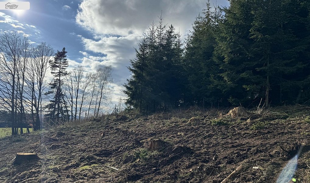 Prodej lesa 35 108 m², Pecka – náhled fotky 17