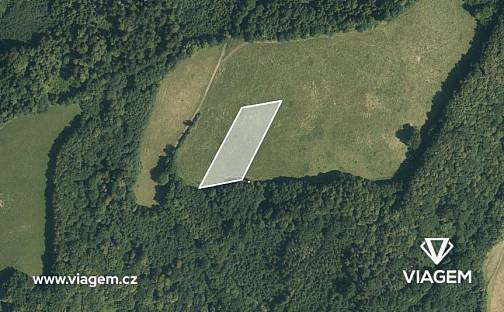 Prodej pole 972 m², Životice u Nového Jičína, okres Nový Jičín