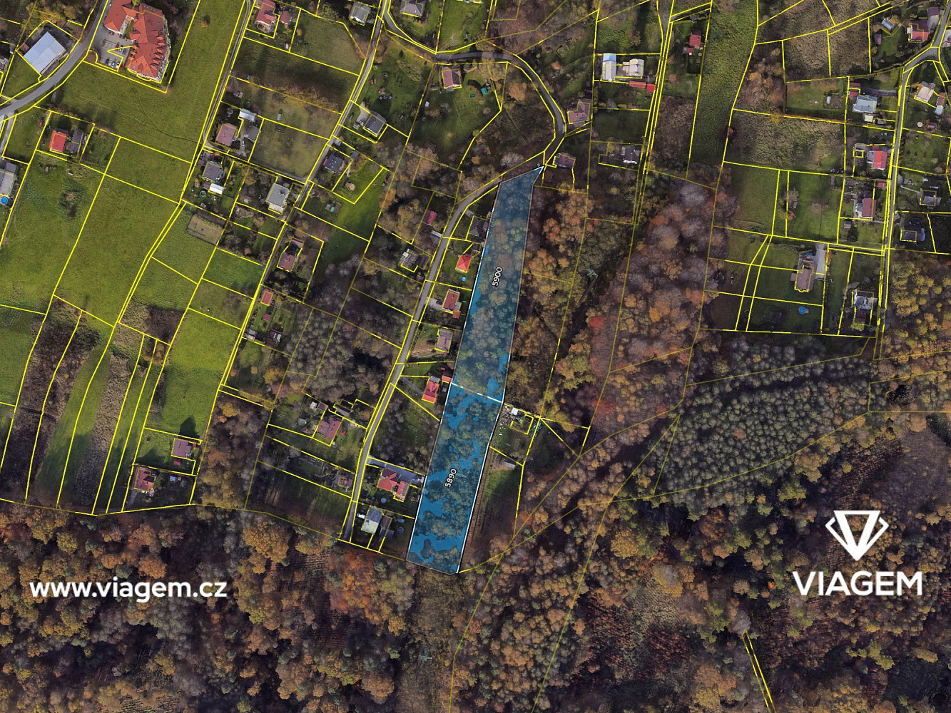 Prodej lesa 9 069 m² – fotografie 4