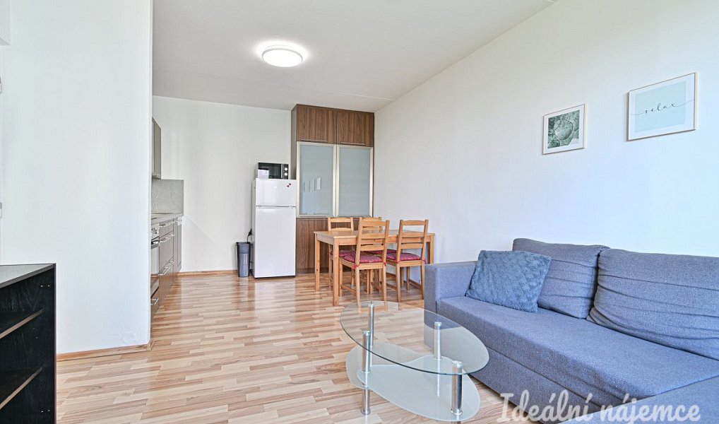 Pronájem bytu 2+kk 44 m², Brno – náhled fotky 6