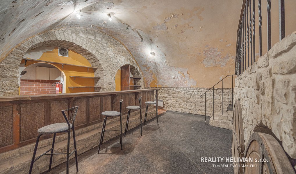 Prodej domu 878 m² s pozemkem 839 m², Žatec – náhled fotky 12