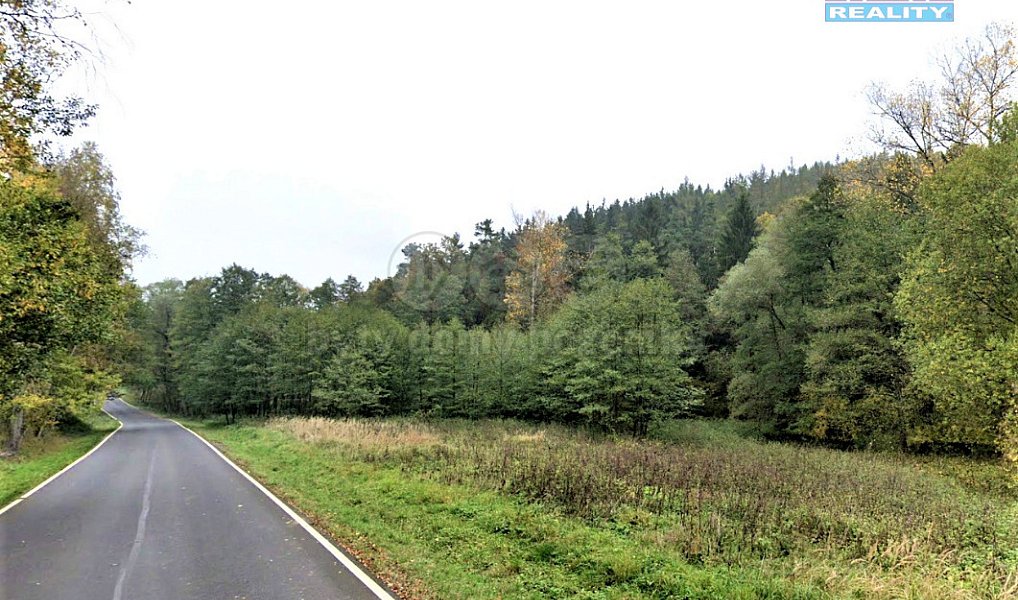 Prodej lesa 13 223 m², Tuchořice – náhled fotky 5