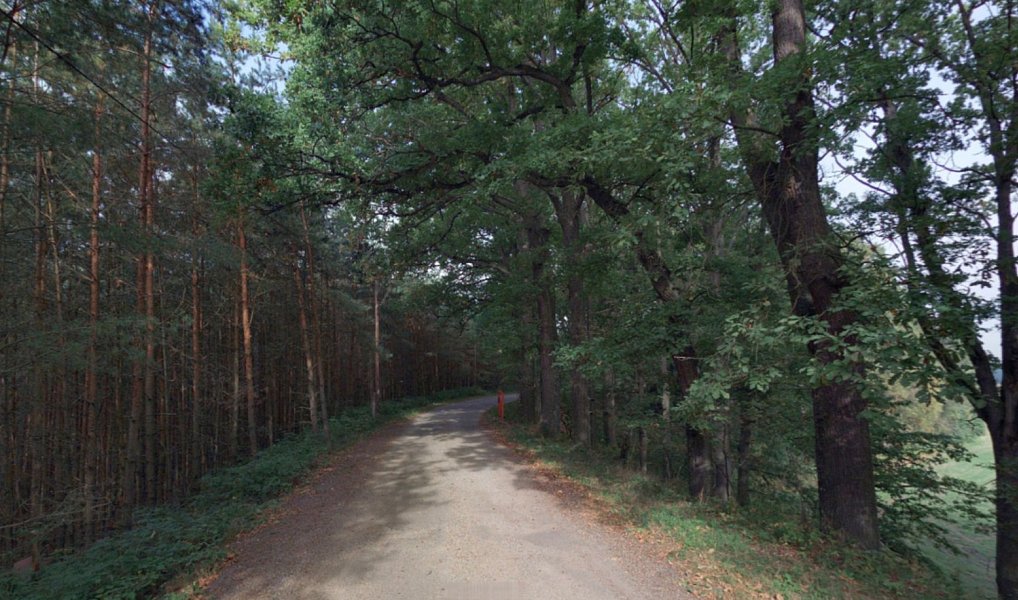 Prodej lesa, 27344 m², Jindřichův Hradec, Stráž nad Nežárkou