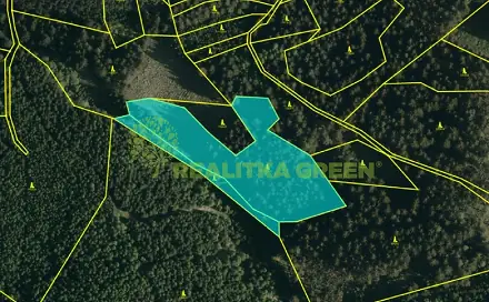 Prodej lesa 9 912 m², Hovězí, okres Vsetín