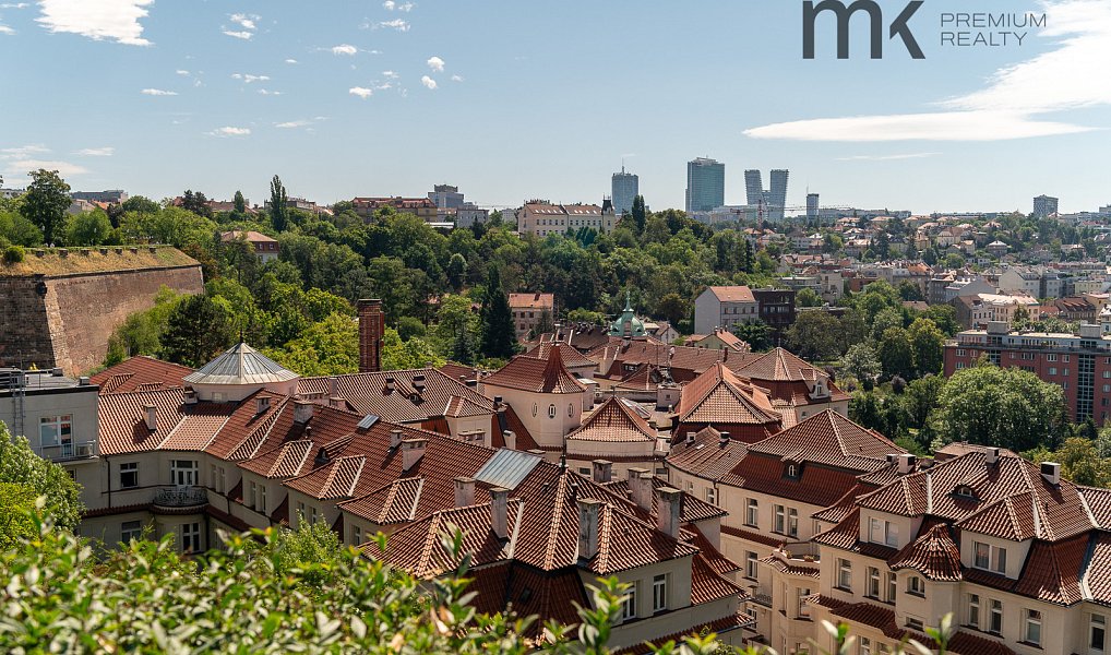 Pronájem bytu 1+1 32 m², Praha – náhled fotky 19