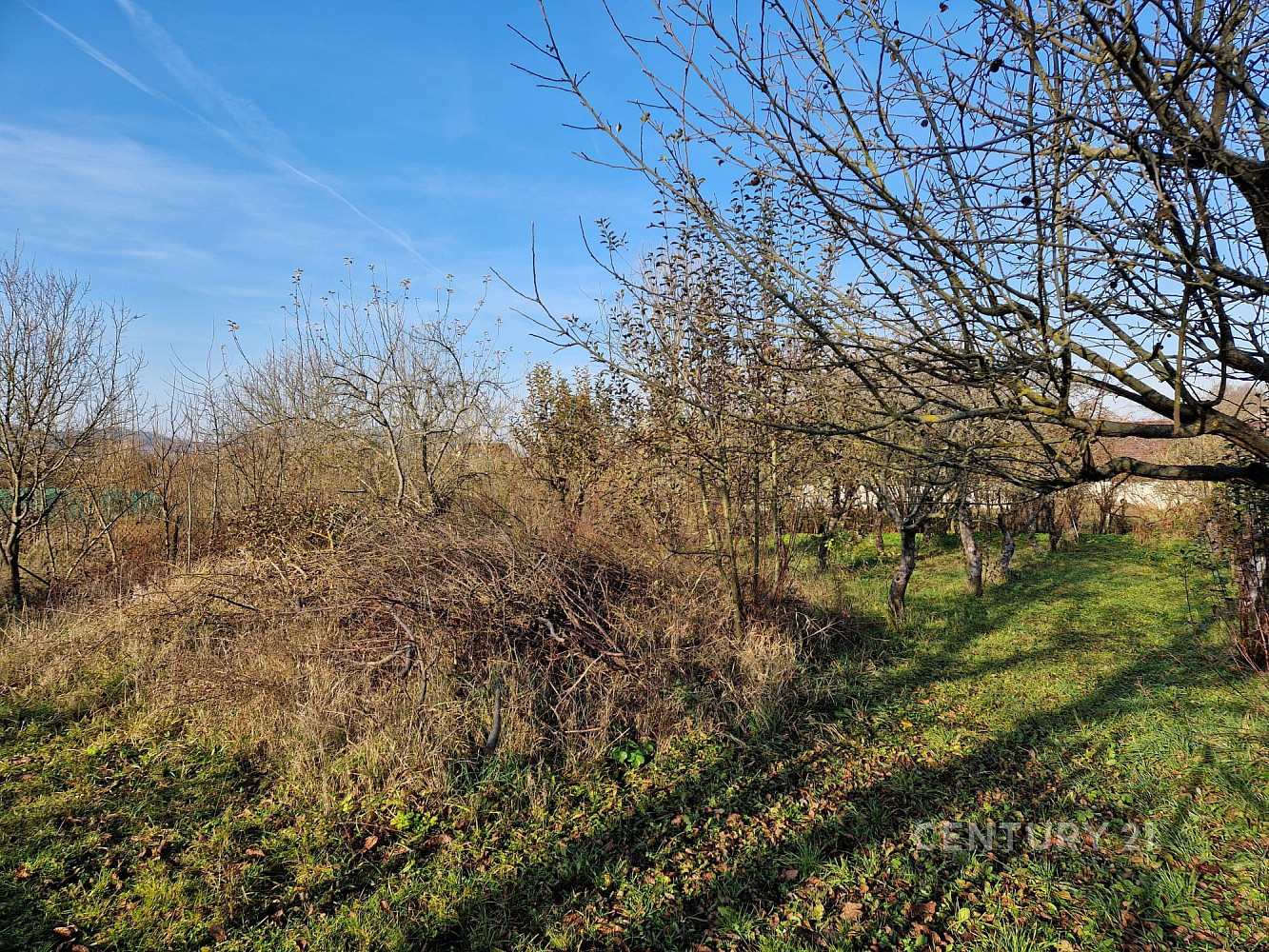 Prodej stavebního pozemku 508 m² – fotografie 5