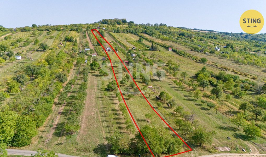 Prodej chaty/chalupy 42 m² s pozemkem 5 902 m², Strážnice – náhled fotky 12