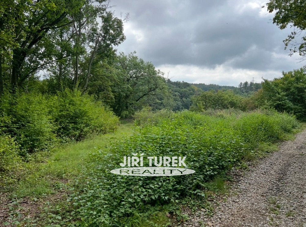 Prodej komerčního objektu (jiného typu) 21 m² – fotografie 2