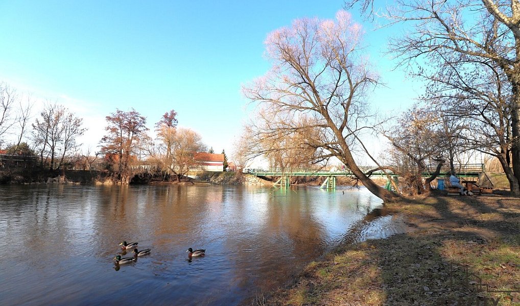 Prodej stavebního pozemku 1 283 m², Znojmo – náhled fotky 5