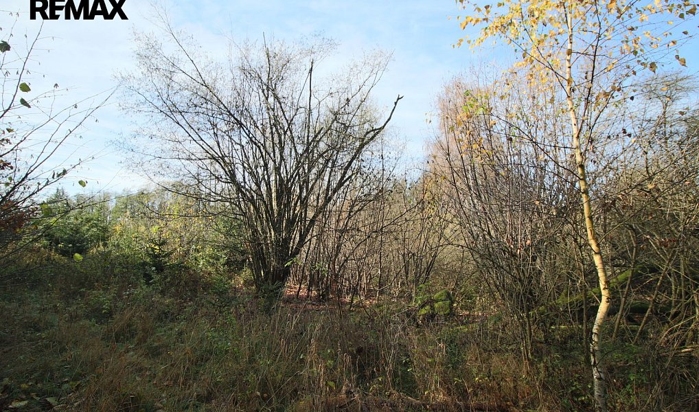 Prodej lesa 19 636 m², Břežany – náhled fotky 6