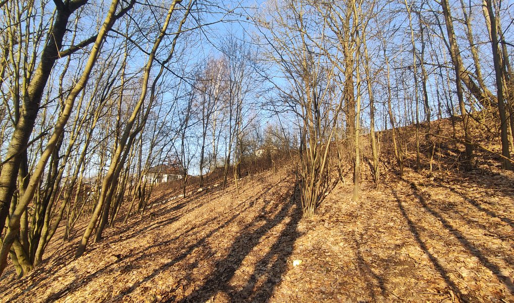 Prodej stavebního pozemku 705 m², Nemile – náhled fotky 10