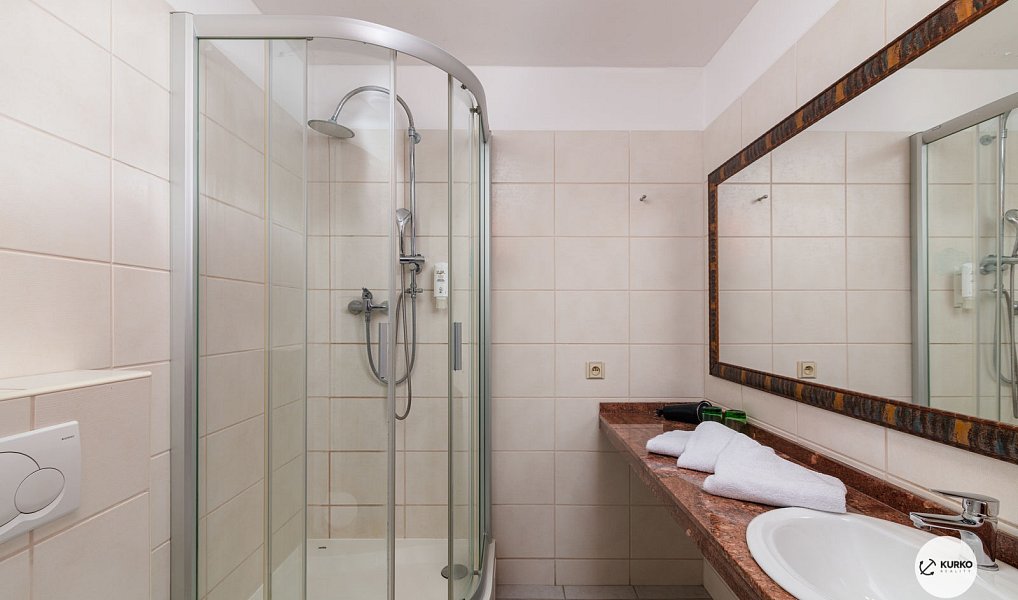 Prodej ubytovacího objektu 1 200 m², Frýdek-Místek – náhled fotky 23