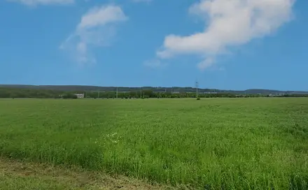 Prodej komerčního pozemku 10 974 m², Rybník, okres Ústí nad Orlicí