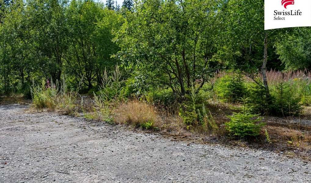 Prodej komerčního pozemku 1 558 m², Stará Ves – náhled fotky 10