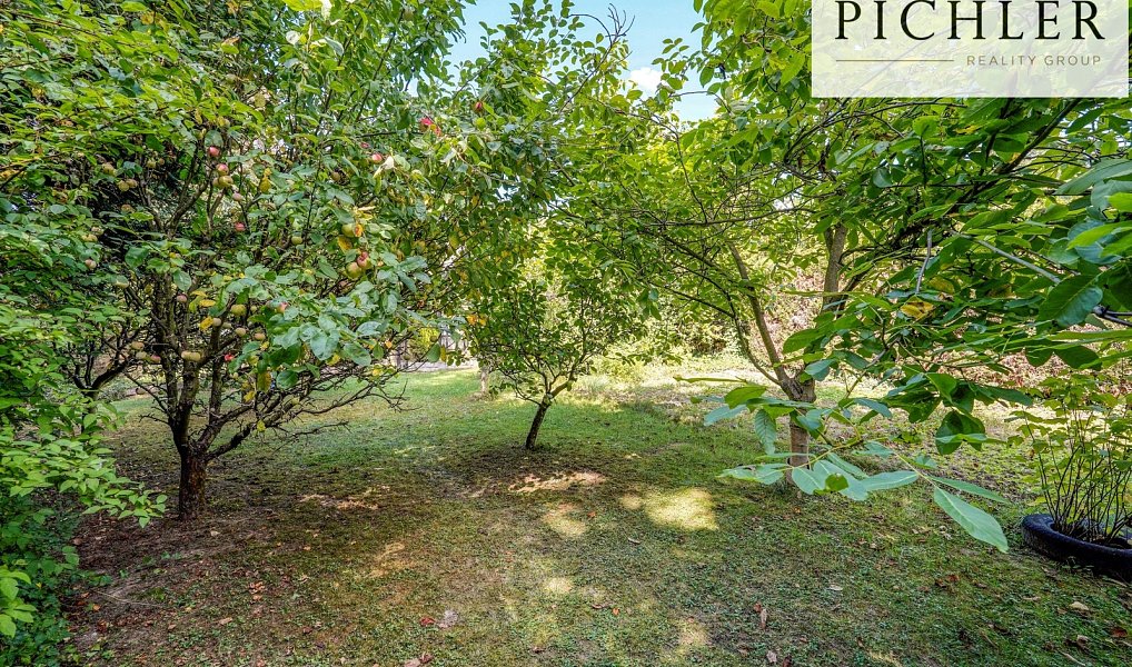 Prodej chaty/chalupy 42 m² s pozemkem 458 m², Starý Plzenec – náhled fotky 32