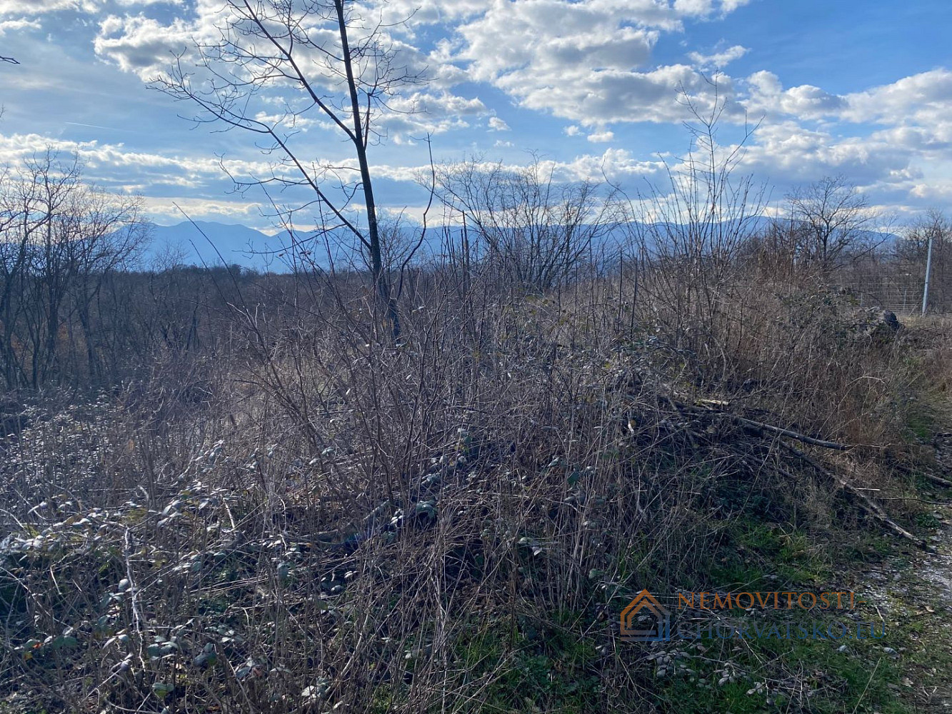 Prodej stavebního pozemku 1 614 m² - Widok 5