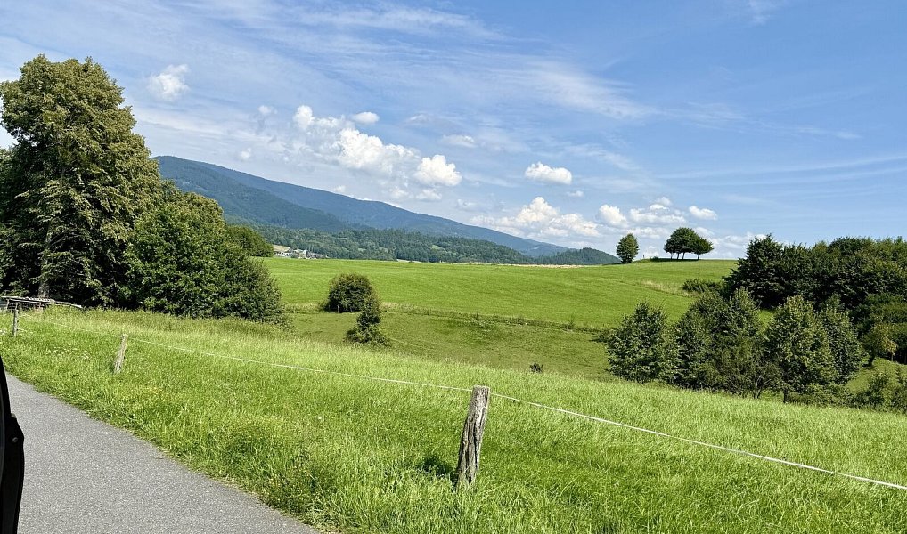 Prodej zahrady 11 072 m², Rožnov pod Radhoštěm – náhled fotky 18