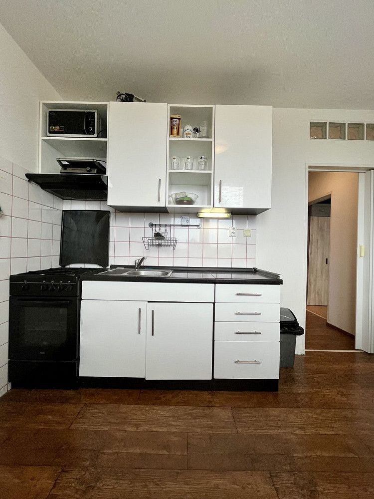 Pronájem bytu 1+1 41 m² – pohled 2