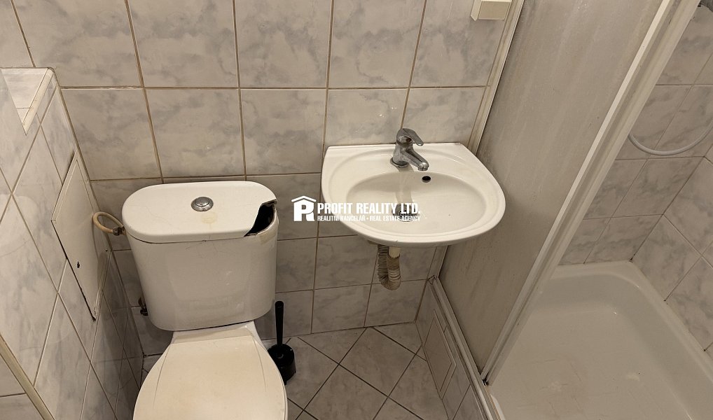 Pronájem bytu 1+1 45 m², Praha – náhled fotky 5