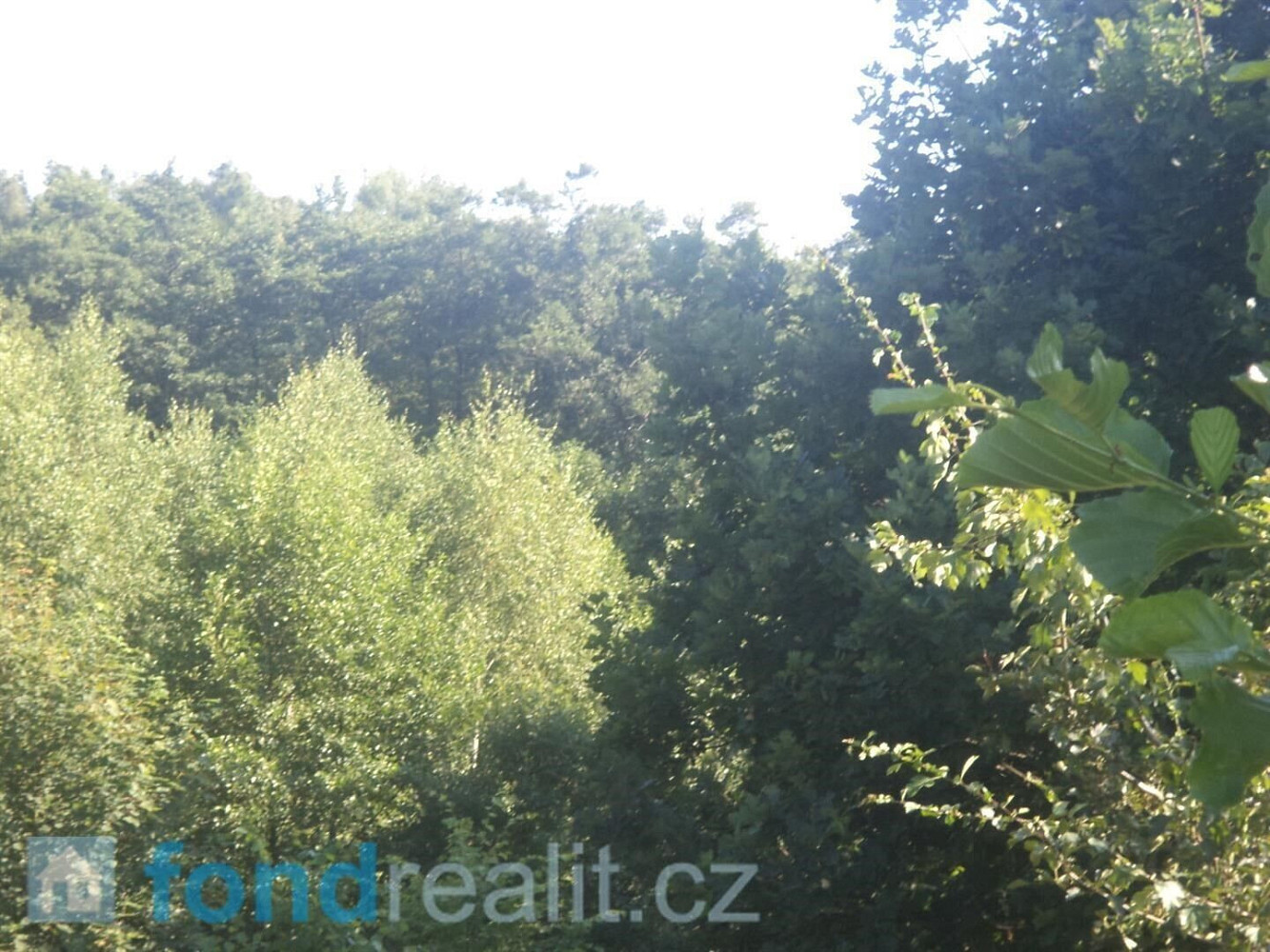Prodej pozemku 2 629 m² – fotografie 2