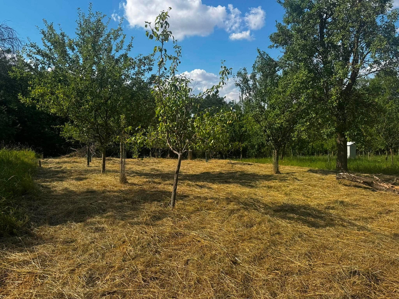 Prodej zahrady 668 m²