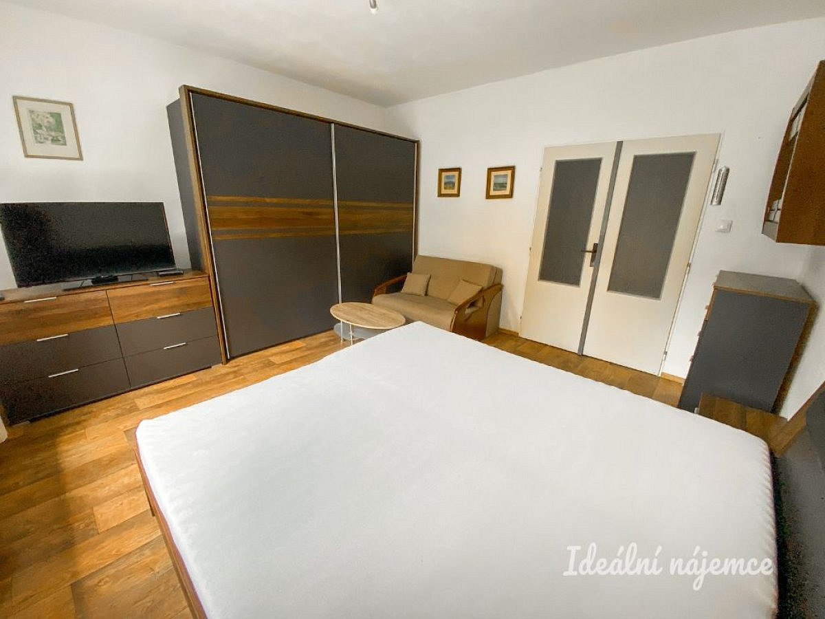 Pronájem bytu 1+1 39 m² – další
