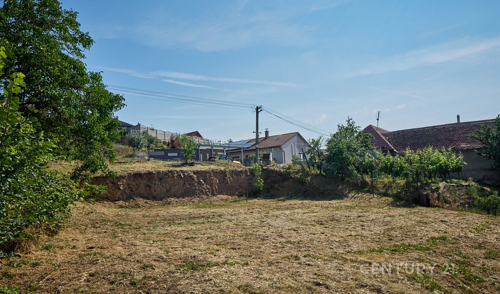 Prodej stavebního pozemku 854 m², Tasovice – náhled fotky 8