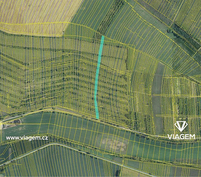 Prodej pole 4 651 m² – fotografie 3