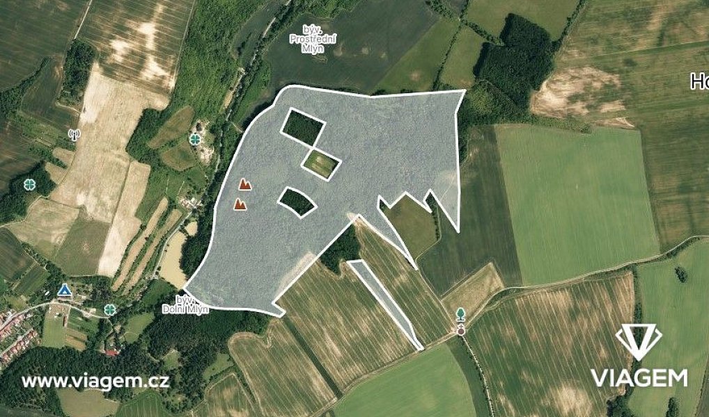 Prodej lesa 11 303 m², Žeravice – náhled fotky 2