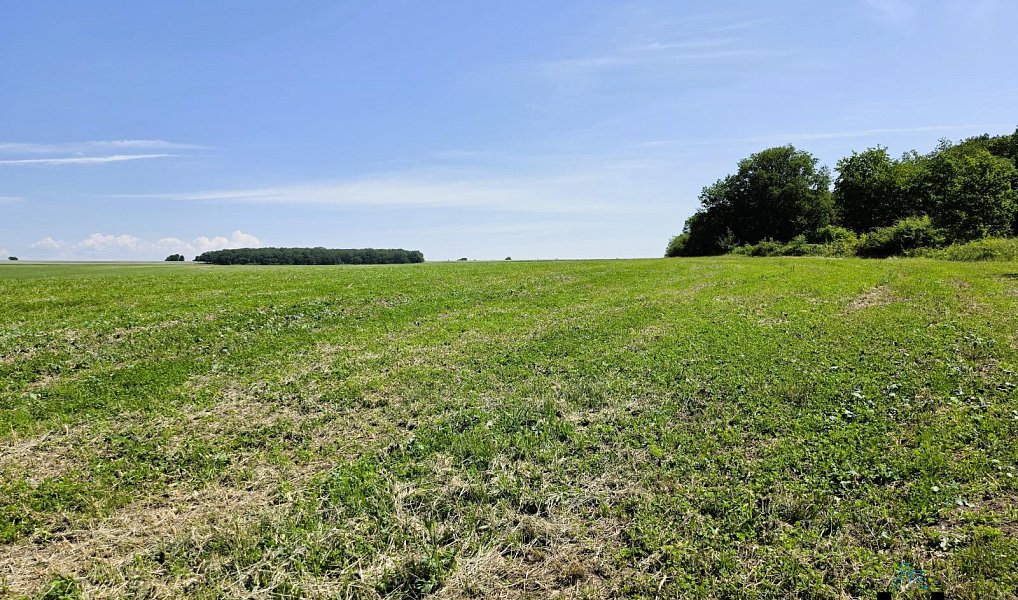Prodej komerčního pozemku 122 763 m², Údlice – náhled fotky 9