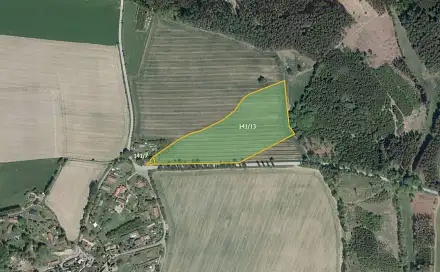 Prodej pole 29 214 m², Číhošť - Hlohov, okres Havlíčkův Brod